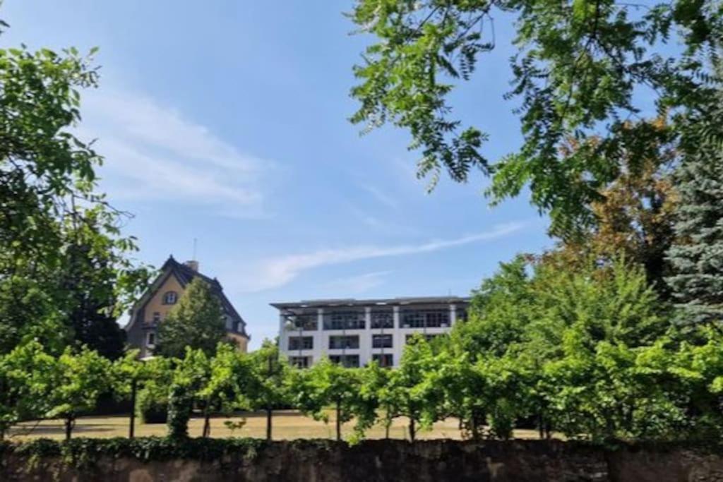 Apartamento Wohnwerk: Penthouse - Moselblick Traben-Trarbach Exterior foto